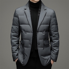 休闲西服上衣单西外套冬新款西装男帅气韩版厚款DFLDY2002-P240，男装西服，电商B212（原钱塘6029）