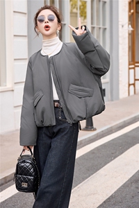 圆领拉链休闲户外羽绒服图片