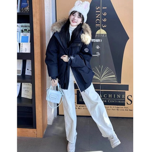 【升级款】派克服工装羽绒棉服oversize面包服外套Y902-P110网图图片