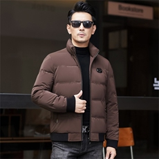 冬季白鸭绒加厚羽绒服短款中青年休闲立领保暖防寒潮服外套男装，男装羽绒服，钱塘6003（原4033）