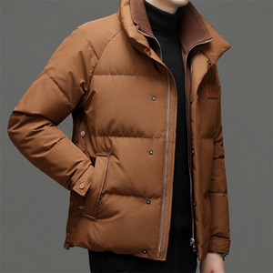 DF8203钱塘2020-2冬季时尚简约厚款新款中年男士羽绒服P335图片
