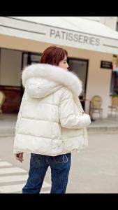 红.炫影 HZHXY101940