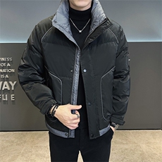 标85白鸭绒高品质冬季休闲立领羽绒服保暖外套男23878-P225，男装羽绒服，电商A413