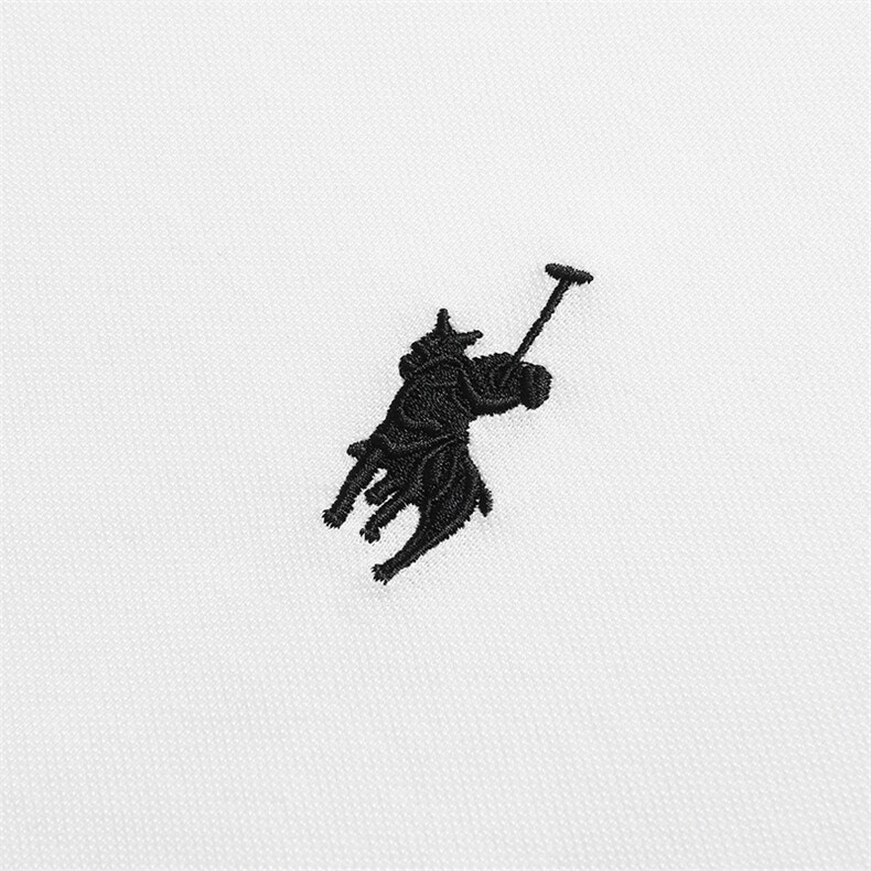 男士短袖T恤保罗polo衫2023夏季新款中年休闲男装半袖翻领体恤衫,男装Polo衫,电商B212（原钱塘6029）