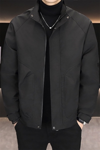 羽绒服男新标50白鸭绒夹克外套休闲时尚立领男士上衣Y3076-P140图片