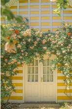 闺蜜系列连衣裙，女装连衣裙，MISS(2F)