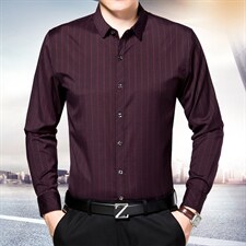 中年男士衬衫领春秋季新款潮流时尚休闲打底内搭长袖衬衣上衣男装，男装衬衫，电商B212（原钱塘6029）