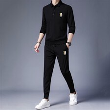 男士休闲套装秋季2023新款潮流纯色翻领长袖T恤中青年男装两件套，男装休闲套装，电商B212（原钱塘6029）