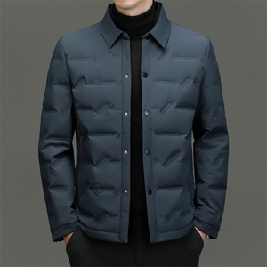 BN3966钱塘2020-2商务简约简约冬季厚款中年男士90鸭绒羽绒服P180图片