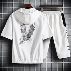 套装男2021夏季男生帅气两件套装夹克外套韩版潮流一套T774-p50，男装套装，星座1206（原A206）