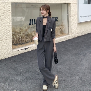 新品 高级灰休闲套装送丝巾 2C236 8015 P175 K238图片