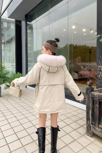 新款派克服，女装，菲特佳人