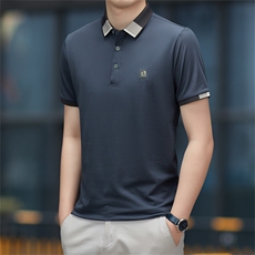 夏季保罗POLO衫男士短袖T恤纯色休闲翻领宽松半袖中年男装体恤衫，男装Polo衫，电商B212（原钱塘6029）