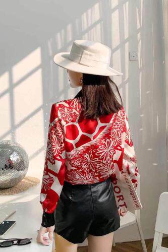 春季新款欧货时尚小衫，女装，青羽鹤