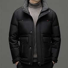 CSYR98219钱塘2020-2中年男士冬季厚款时尚休闲立领羽绒服P220，男装羽绒服，钱塘207-2