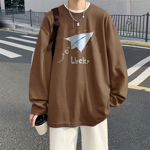 抖音供货、秋季现货舒适棉宽松重磅长袖T恤 D223A-CT2328-特P28图片