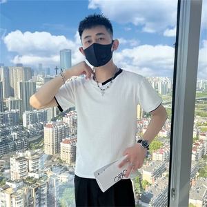 条纹短袖t恤男夏季薄款新款内搭春秋季针织打底衫 T212图片