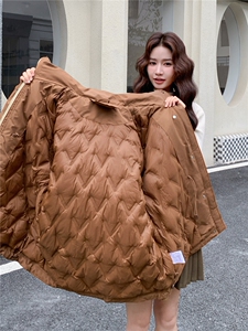 韩系工装派克羽绒服女2025冬季新款高端洋气休闲保暖90白鸭绒外套图片