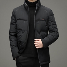 AN9873钱塘2020-3秋冬新款中年男士立领休闲百搭羽绒服外套P248，男装羽绒服，钱塘207-3