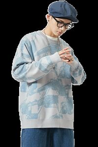 2021春秋季新款男士圆领印花套头毛衣外套M113/P65图片