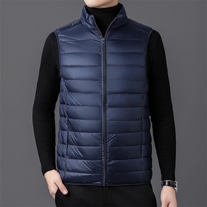 达标50绒 秋冬新款轻薄羽绒服马甲男士轻羽绒背心坎肩YR912-P55图片