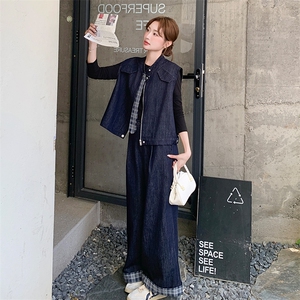 休闲减龄穿搭牛仔套装女春秋超火好看高级感小众马甲阔腿裤两件套图片
