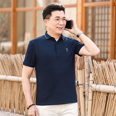 夏季保罗POLO衫男士短袖T恤纯棉休闲翻领宽松半袖中年男装体恤衫，男装Polo衫，电商B212（原钱塘6029）