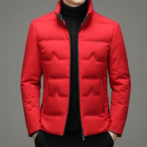 白鸭绒羽绒服男中长款羽绒服冬季中年男休闲立领外套ZL6701-P210图片