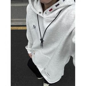 2025秋季新款刺绣宽松连帽卫衣男女 B208-WY3908-P65图片