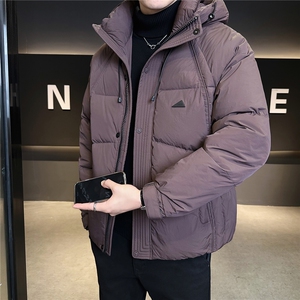 标50绒 加厚男士羽绒服冬季2025新款连帽外套 A313-66020-P245图片