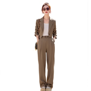 高级感西装套装女春秋2024新款宽松休闲工装西服阔腿裤两件套裤潮图片