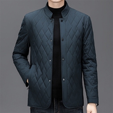 冬季新款男士高端立领休闲时尚加厚百搭保暖棉服休闲上衣长袖外套，男装棉衣，电商B212（原钱塘6029）