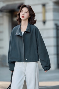 松弛感宽松休闲立领短外套女2025秋季新款百搭小个子洋气夹克上衣图片