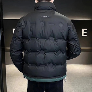 抖音直播2024 羽绒潮款 羽绒服男图片