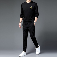 中年男士卫衣休闲套装春秋季2023年新款中老年男装爸爸秋装两件套，男装休闲套装，电商B212（原钱塘6029）