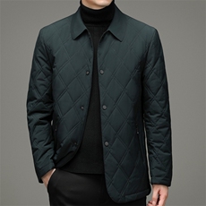 中年棉服男冬季保暖棉袄男棉衣夹克中年爸爸装外套YYM9601-P195，男装棉衣，电商B212（原钱塘6029）
