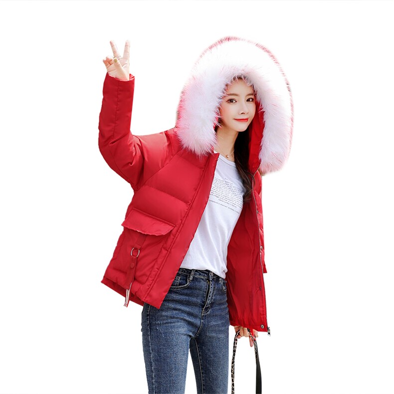 2020冬季新款时尚气质刺绣保暖舒适棉衣,女装棉衣/棉服,艾尚靓装