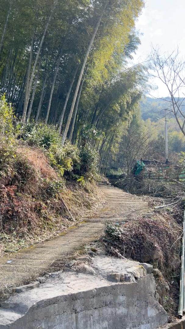 现货，春装新款连衣裙，西装外套火热上架了，女装连衣裙，雨恋依香(1F)