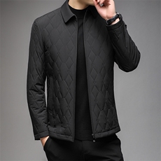AB8215钱塘2020-3秋冬男士时尚气质保暖棉衣高品质男士外套P132，男装棉衣，钱塘207-3