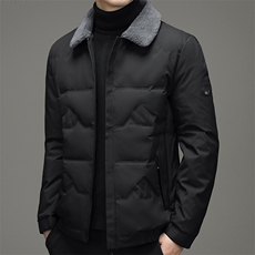 Q2066钱塘2020-2中年男士冬季厚款翻领百搭简约时尚羽绒服P200，男装羽绒服，钱塘207-2