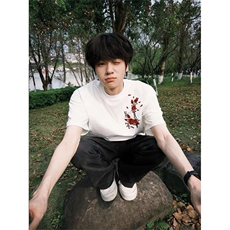 前后刺绣纯棉短袖ZX0284-P35，男装T恤，星座313A(原308A-2)