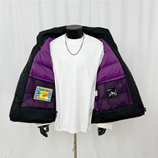 2025新款连帽90白鸭绒羽绒服D213-H24023-P450，男装羽绒服，电商D213