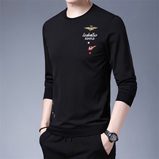 SA8961钱塘2020-2新款中青年男士冬季厚款时尚休闲百搭卫衣P65，男装卫衣，钱塘207-2
