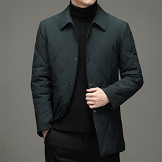 羽绒服2023新款男士中年翻领时尚商务休闲冬季厚款外套A9602-P170，男装棉衣，电商B212（原钱塘6029）