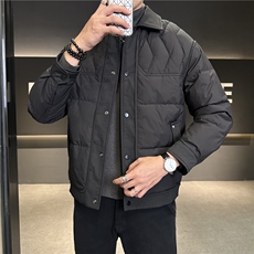 冬季新款白鸭绒防寒加厚翻领简约羽绒服外套上衣男YR116P165，男装羽绒服，电商B226