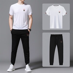 2023年夏款潮流休闲时尚男士运动短袖套装P120，男装休闲套装，电商D223-1