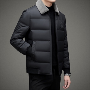 BAMJ-8915钱塘2020-2中年男士冬季厚款商务休闲翻领羽绒服P195图片