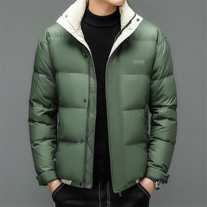 2022男短款中青年白鸭绒时尚加厚保暖休闲羽绒服外套 XY8222-P255图片
