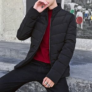 棉衣外套男士冬季新款立领加厚羽绒棉服韩版保暖棉袄DS254T图片