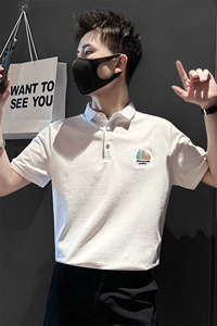 2024夏季新款时尚南瓜刺绣短袖男士翻领POLO衫          PL52-P58图片